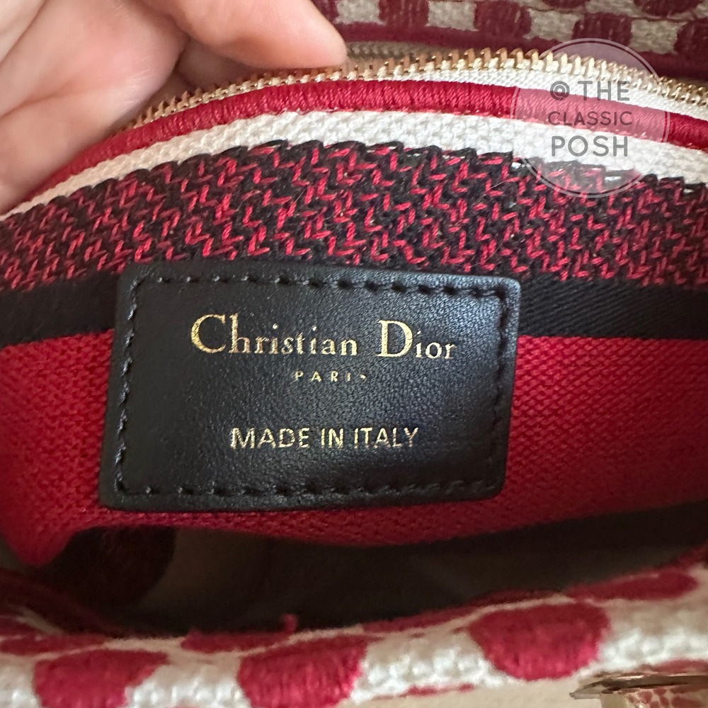 EUC Rare Christian Dior Lady D Lite Dioramour 2020 Lady Bug Dots Satchel Bag - Picture 9 of 16